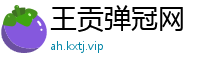 王贡弹冠网
